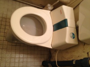 Rotating-seat-cleaner toilet