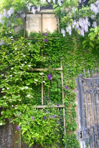 Another one of my "artsy" attempts - I think I like this one although I know it's not perfect