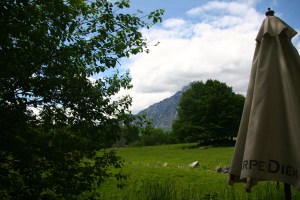 Carpe Diem - that's just what I was doing...