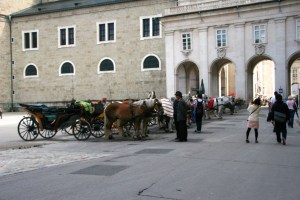 A few shots of the usual pony's / horses seen every day in Alt Stadt Salzburg