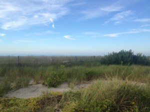A shot of the dunes looking toward the beach on Cape May