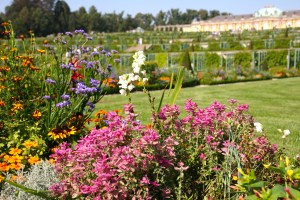 I prefer my palace view through flowers...