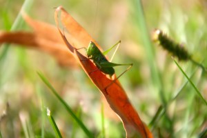 The little guy was very cooperative and not at all shy