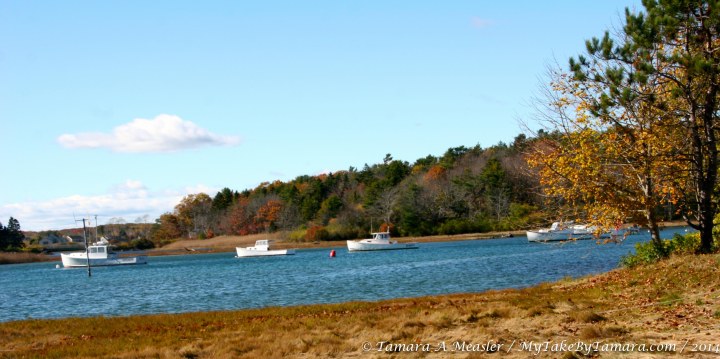 The water in Maine is really that blue