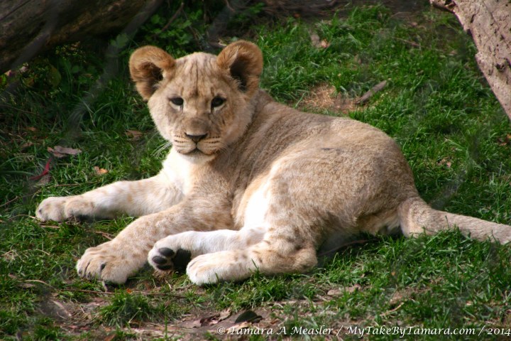 Before long, though, he was back in his relaxed state of mind