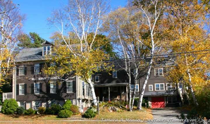 OceanAveKBP (2 of 12)