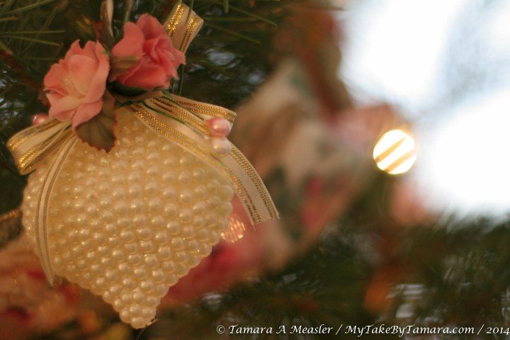 Cmas (9 of 12)