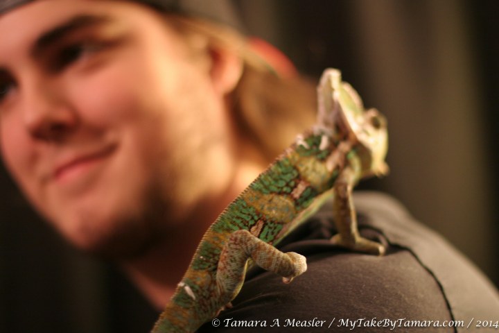 Stitch and my nephew