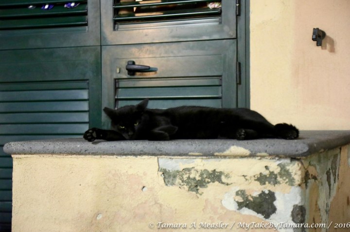 sorrento_tuesday-night-27-of-37