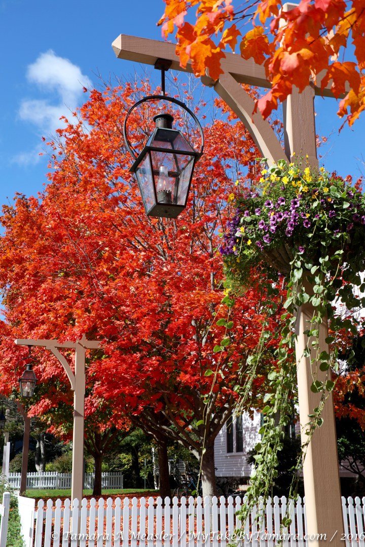 barharbor_10-10-11-16-6-of-16